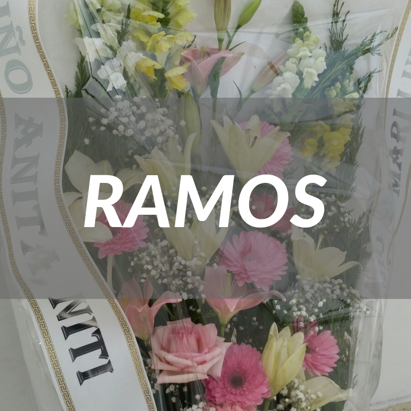 Ramos envíos