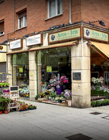Floristería en Oviedo (1)