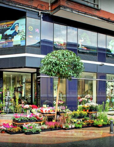 Floristería en Mieres