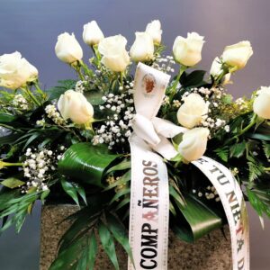 centros para tanatorio en asturias